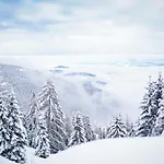 Апартаменты Nockventure Nockberge