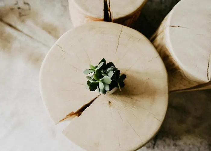 Nockventure Nockberge Ebene Reichenau