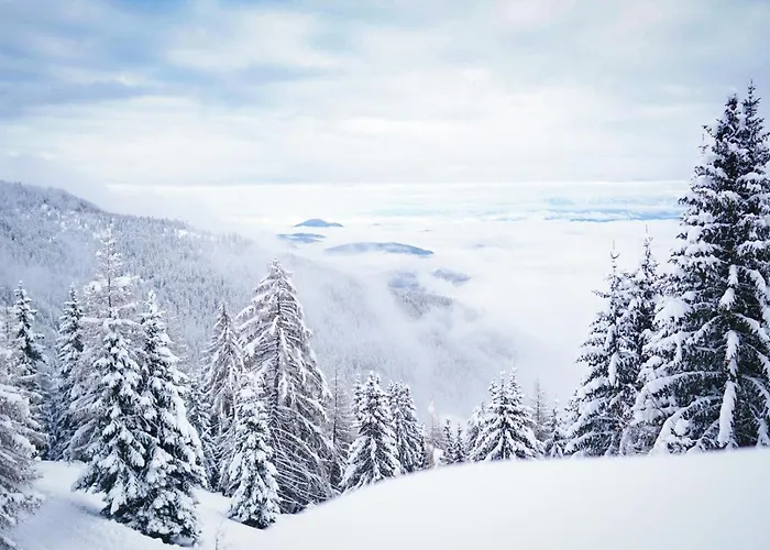 Apartamento Nockventure Nockberge